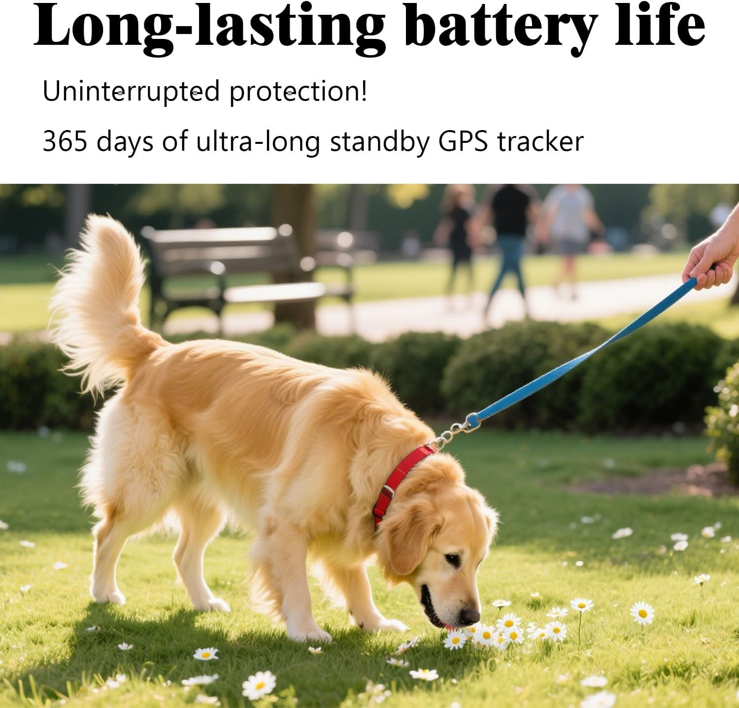 GPS Tracker for Dogs & Cats No Subscription & No SIM Card 365-Day Extra Long Battery Life - Image 5