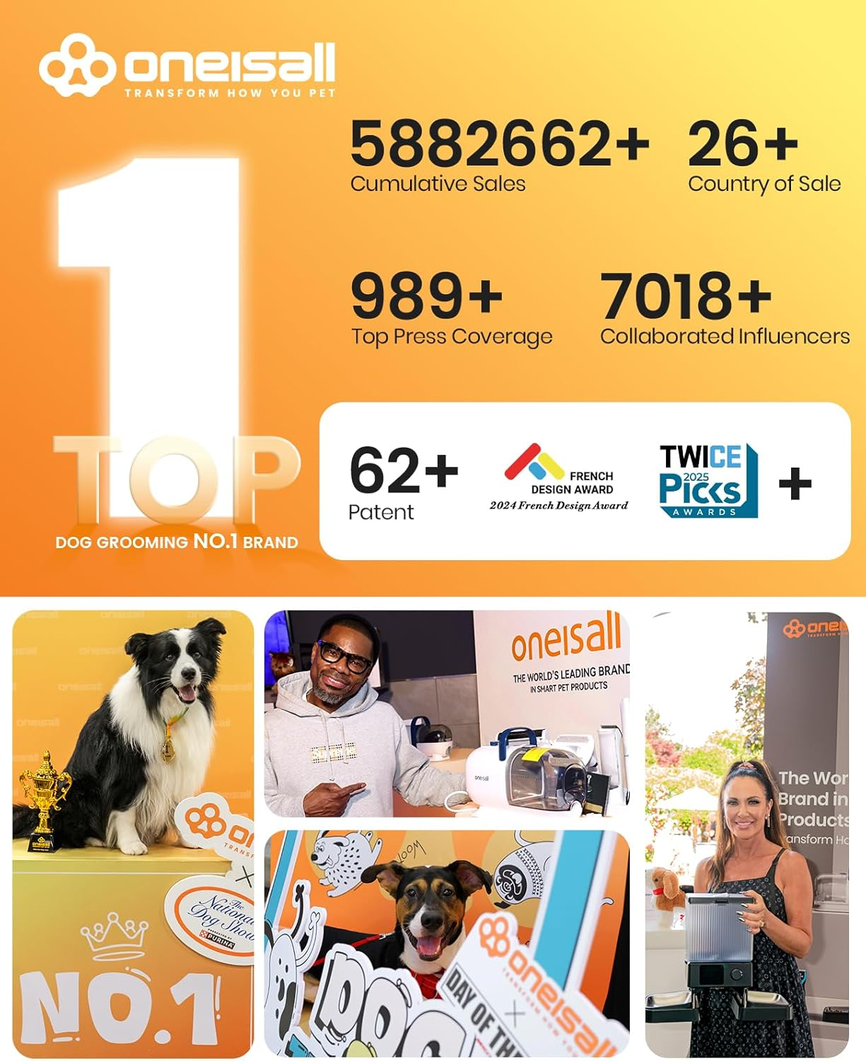 Dog Water Fountain for Large Dogs 10L/2.6Gal Dog Fountain Water Bowl with Multi-Filtration - Image 9