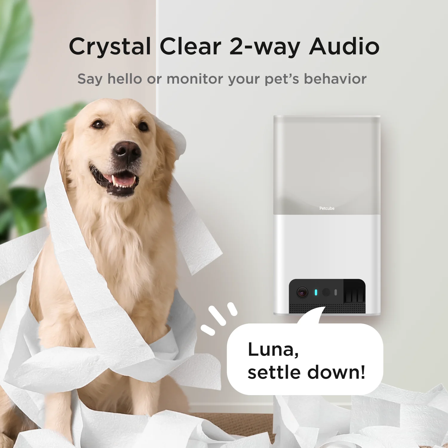 Bites 2 Lite Wifi Pet Camera with Treat Dispenser 1080P HD Video Two-Way Audio - Image 4