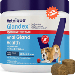 Glandex Anal Gland Soft Chew Treats with Pumpkin for Dogs Digestive Enzymes