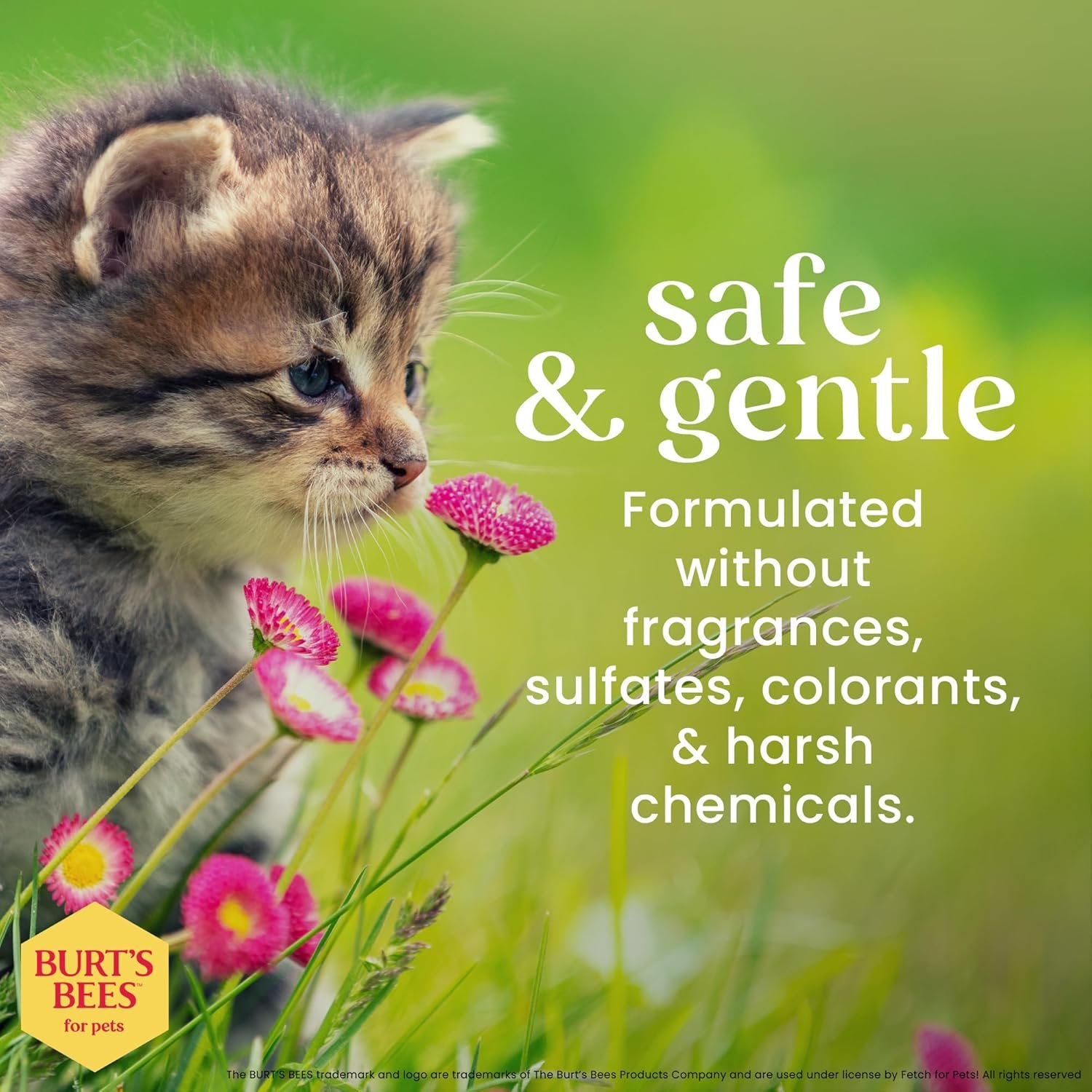 Tearless Kitten Shampoo with Buttermilk – 99.3% Natural Cat Shampoo for Gentle Cleansing & Itchy Skin Relief, 10 oz - Image 5