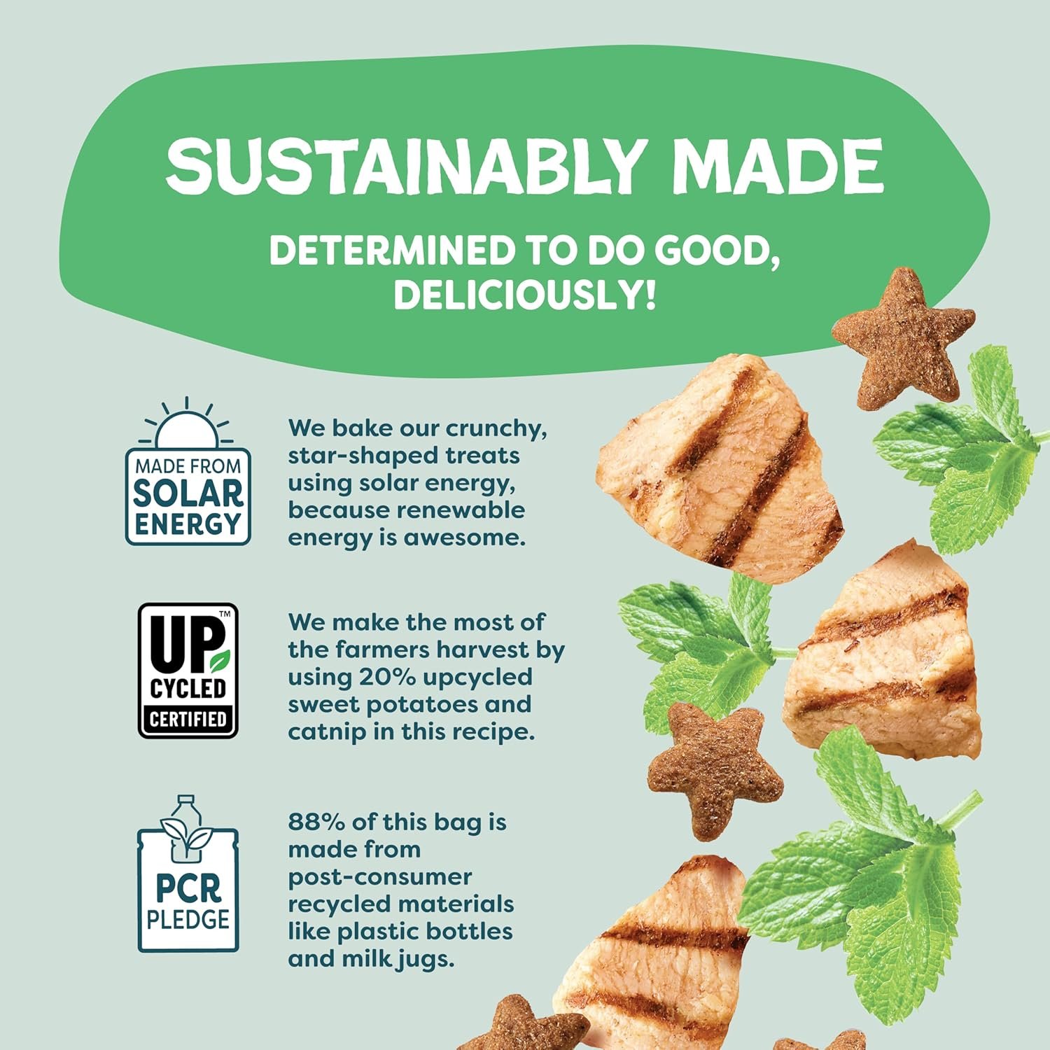 Crunchy Cat Treats – Catnip N Chill Chicken Cat Treats for Digestive Support, Natural & Healthy Feline Snacks, 1 Pack (12 oz) - Image 8