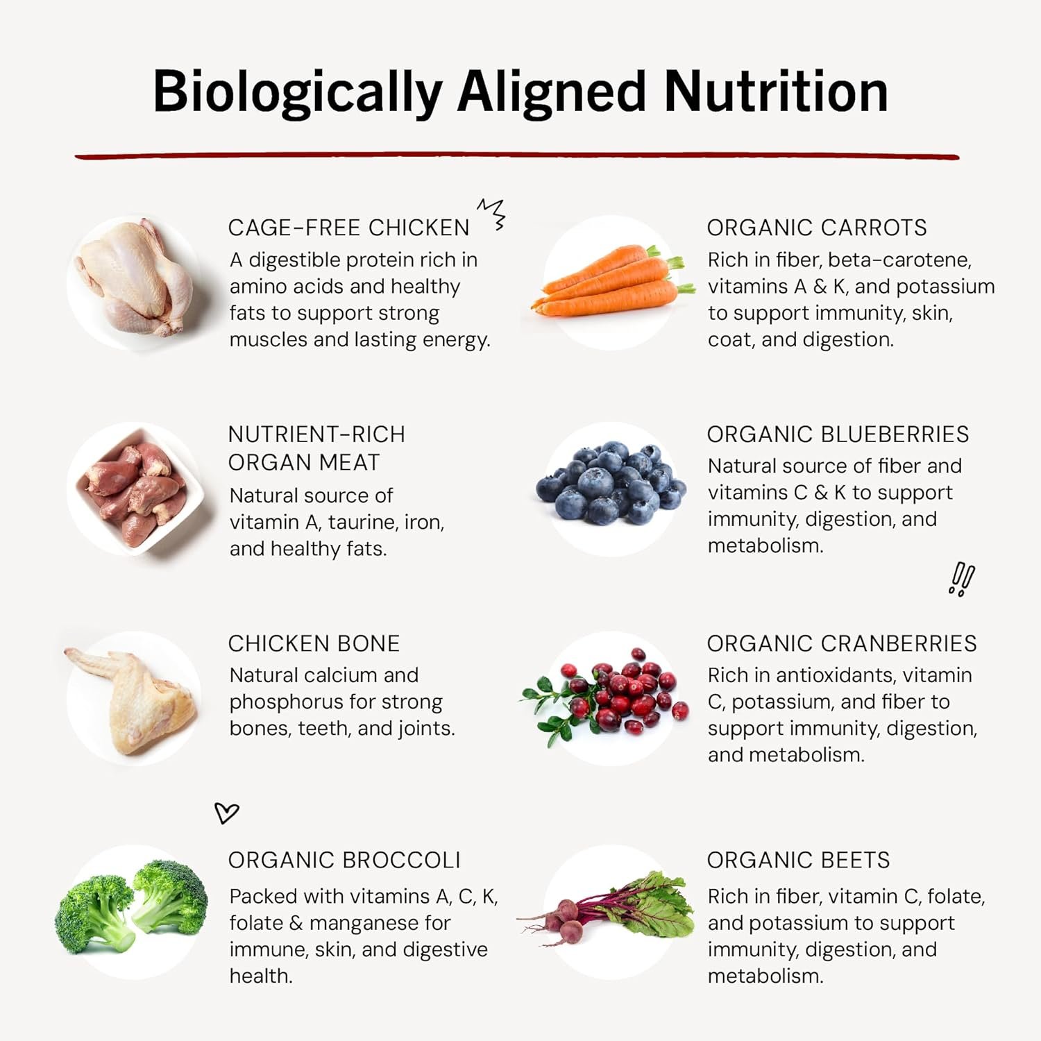 Freeze-Dried Raw Chewy’s Chicken Meal Mixers – Grain-Free Dog Food Topper for Small & Large Breeds, Protein-Rich Recipe (8 oz Bag) - Image 10