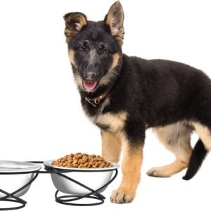 Stainless Steel Dog Bowls – 40oz Pet Food & Water Dishes with Decorative Stand, Durable Metal Bowls for Large Dogs, Set of 2 (Silver/Black)