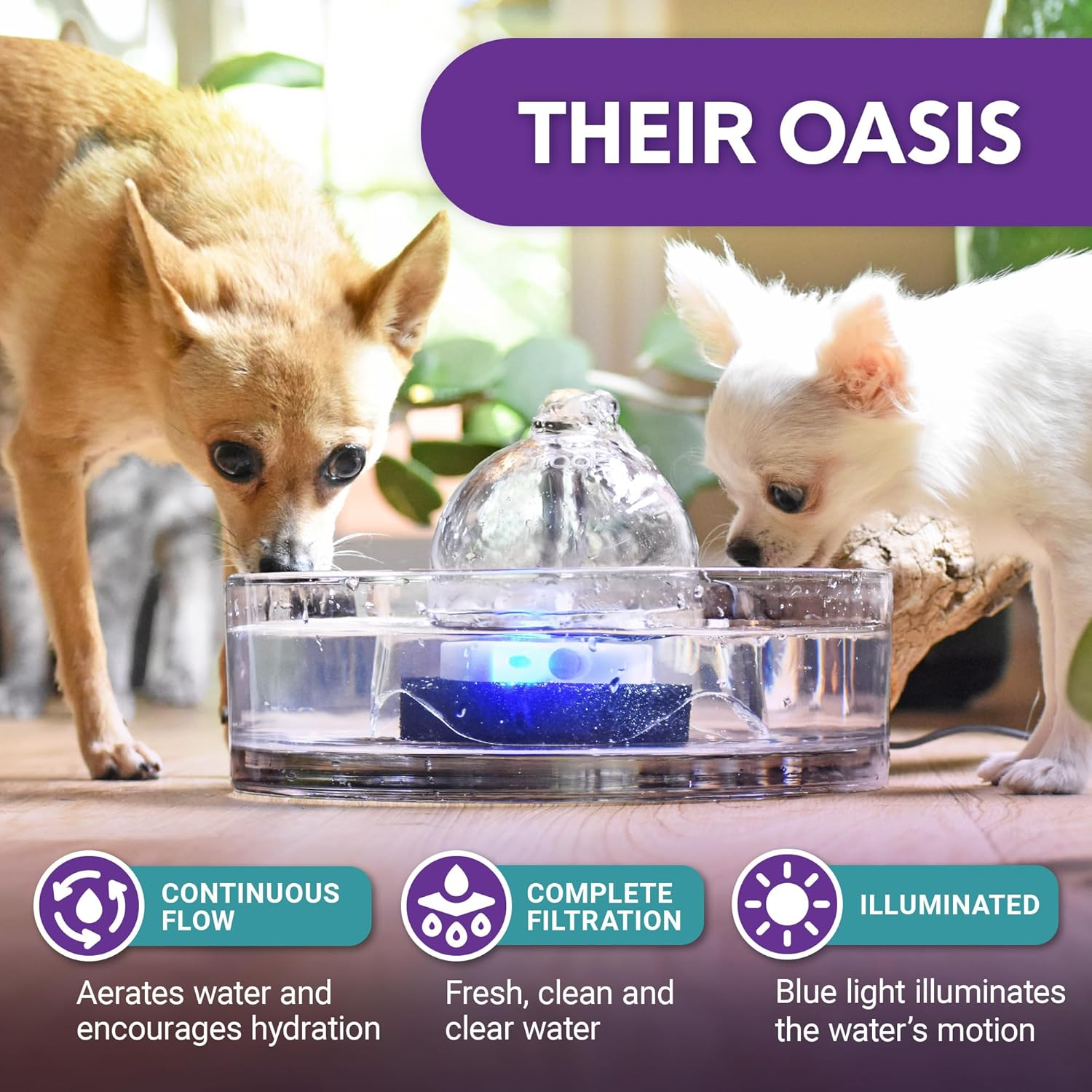 Glass Pet Fountain (90Oz/2.7L) Cat Water Fountain & Small Dog Drinking Fountain Automatic Water Dispenser Cat Fountain - Image 2