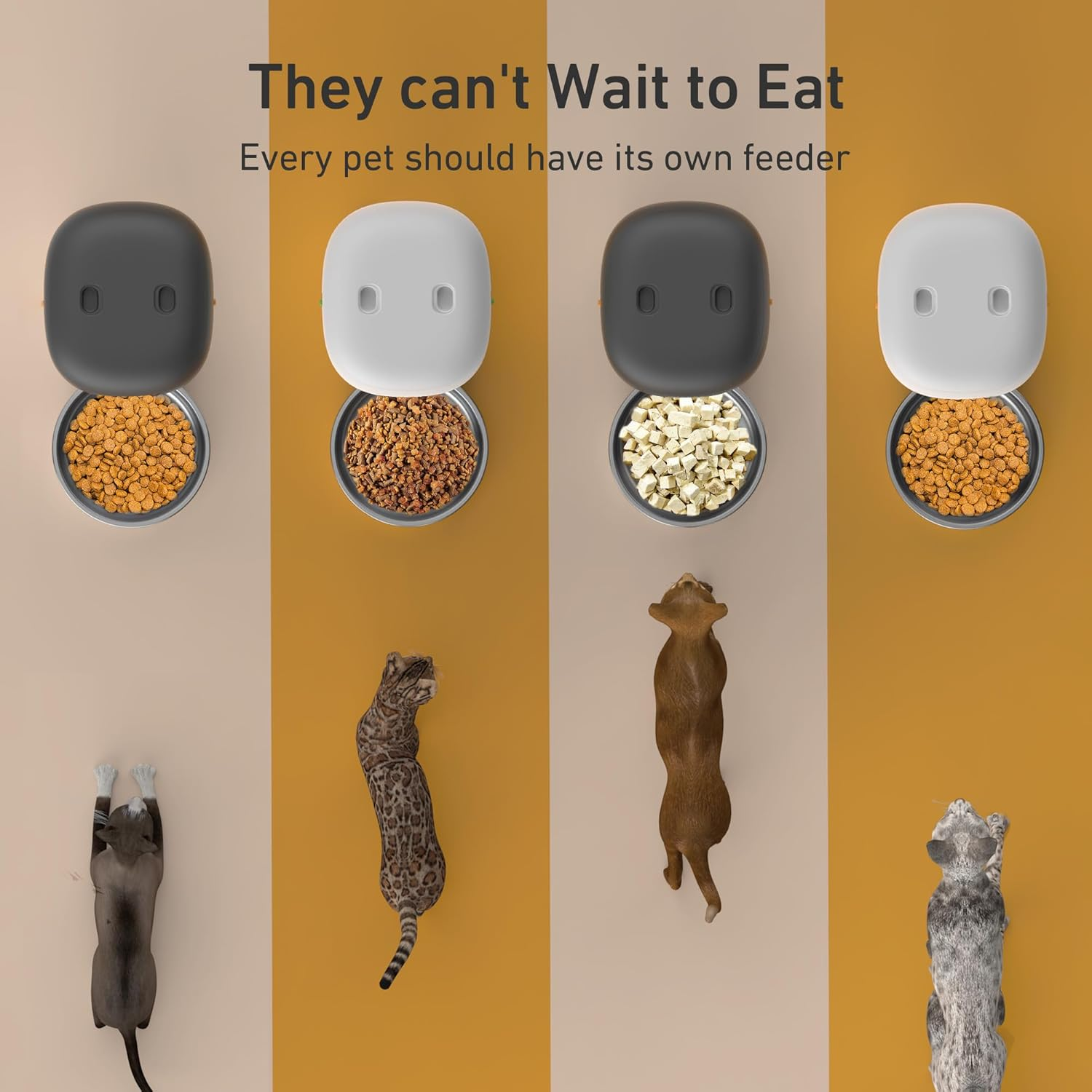 Automatic Cat Feeders 2L Cat Food Dispenser Easy to Use, Timed Automatic Pet Feeder - Image 6