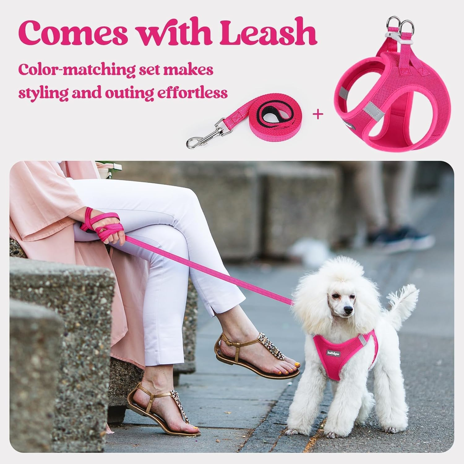 Dog Harness Small Sized and Leash Set Step in Soft Light Puppy Vest Breathable Mesh - Image 6