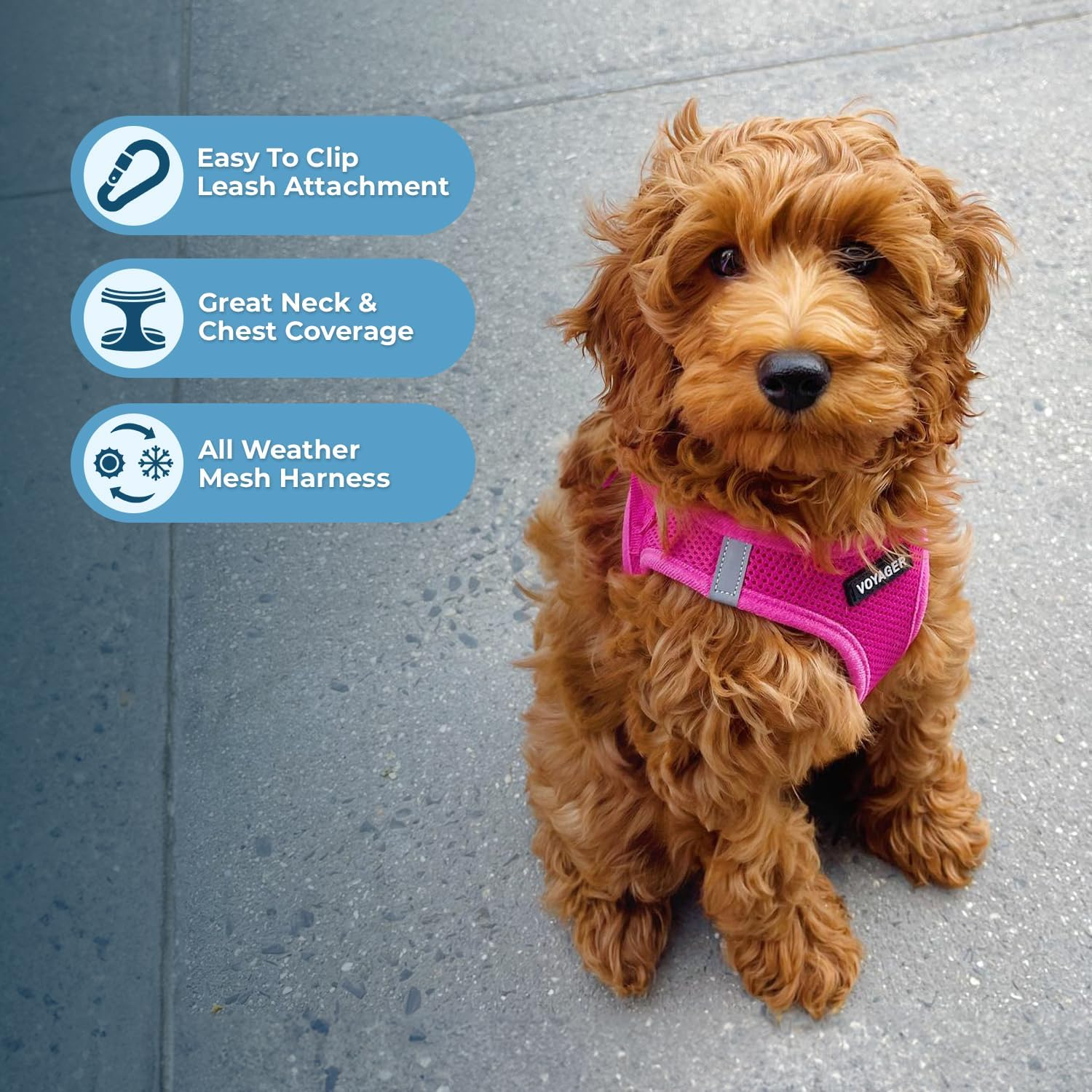 Voyager Step-In Air Harness All Weather Mesh Reflective No Pull Harness for Dogs, Cats - Image 3