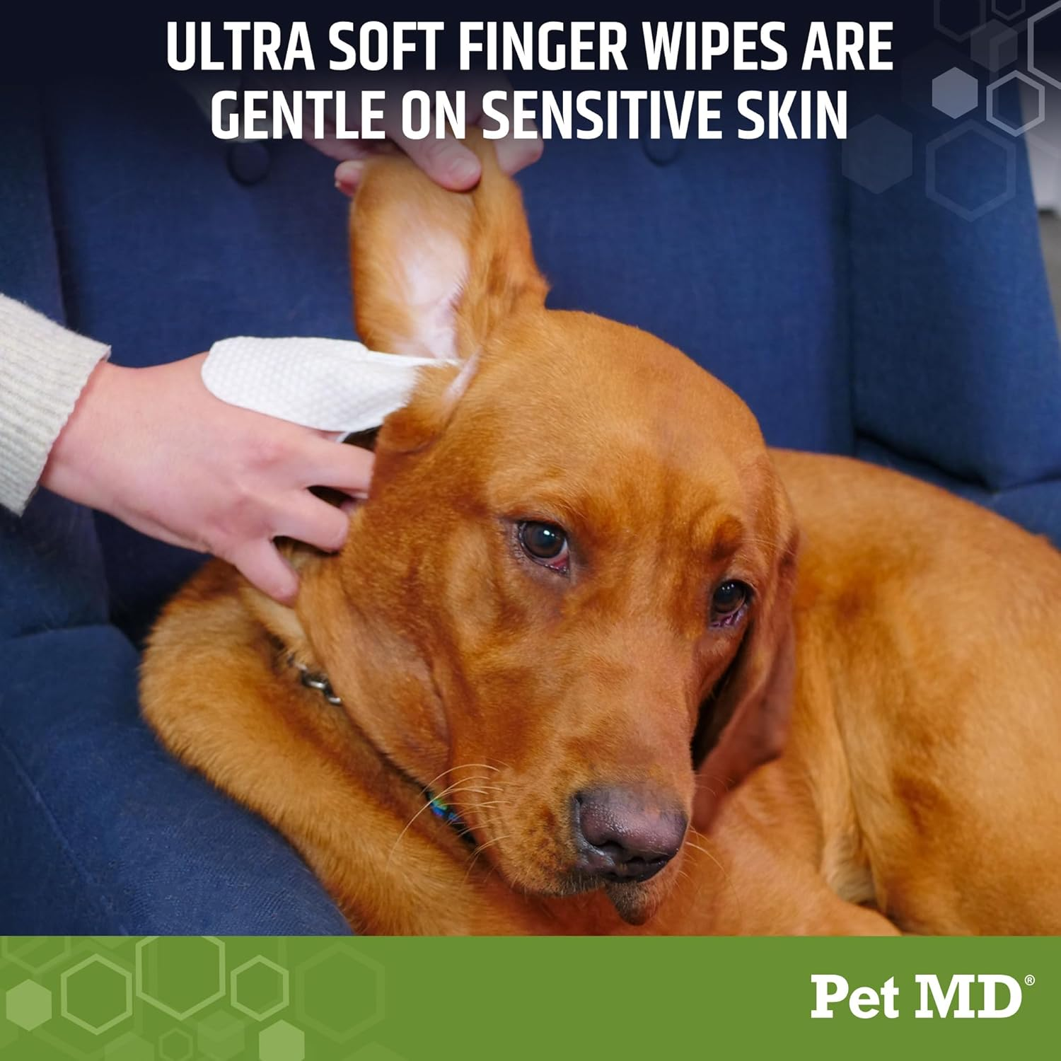 Dog Ear Cleaning Finger Wipes with Aloe Vera & Eucalyptus Oil Veterinarian Formulated - Image 4