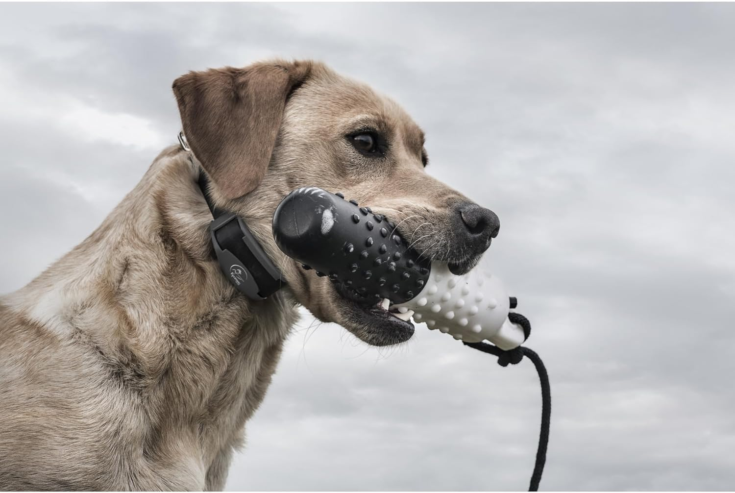 Fieldtrainer 425X Remote Trainer Designed for Off-Leash Control & Training 500Yard Range - Image 8