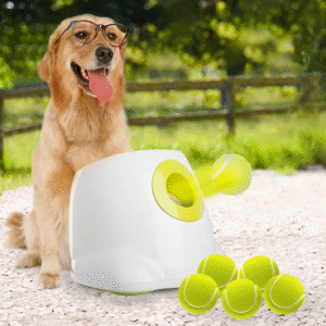Automatic Dog Ball Launcher for Medium to Large Dogs Interactive Tennis Ball