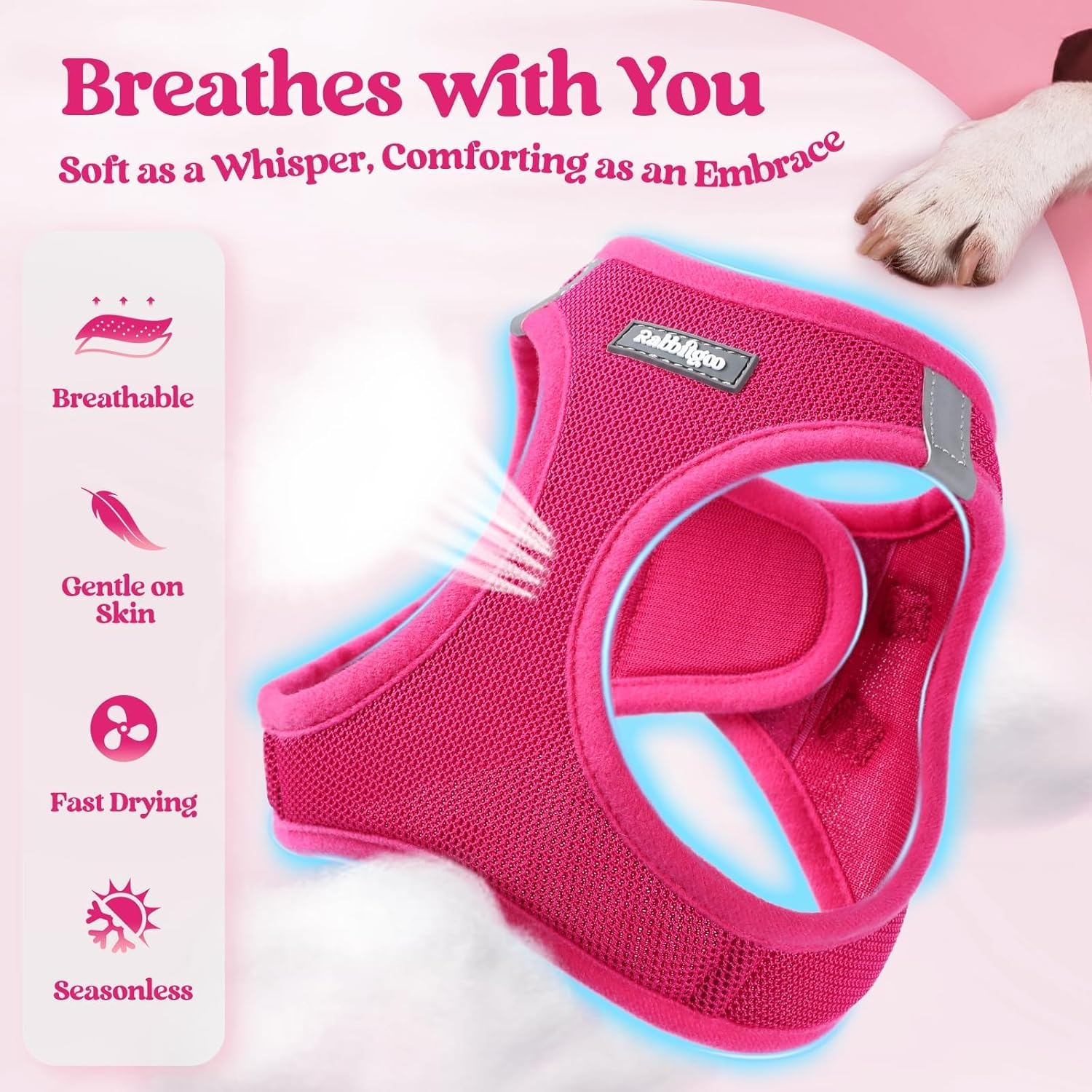 Dog Harness Small Sized and Leash Set Step in Soft Light Puppy Vest Breathable Mesh - Image 4