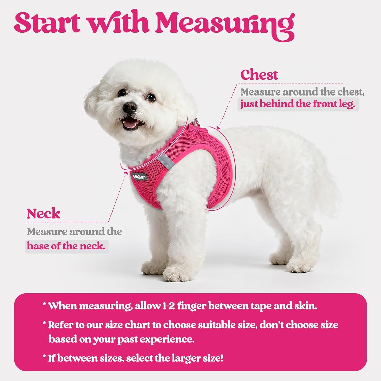 Dog Harness Small Sized and Leash Set Step in Soft Light Puppy Vest Breathable Mesh - Image 2