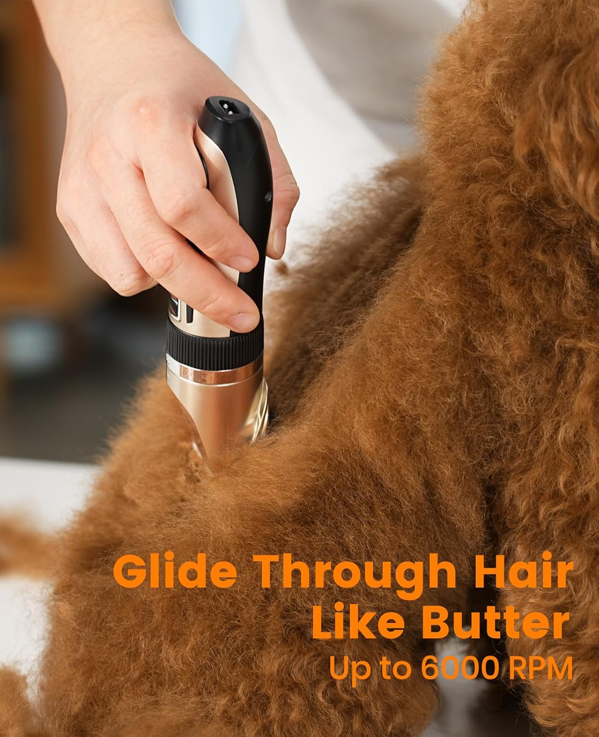 Dog Clippers and Paw Trimmer Kit 2 in 1 Low Noise Cordless Dog Clippers for Grooming Pet - Image 3