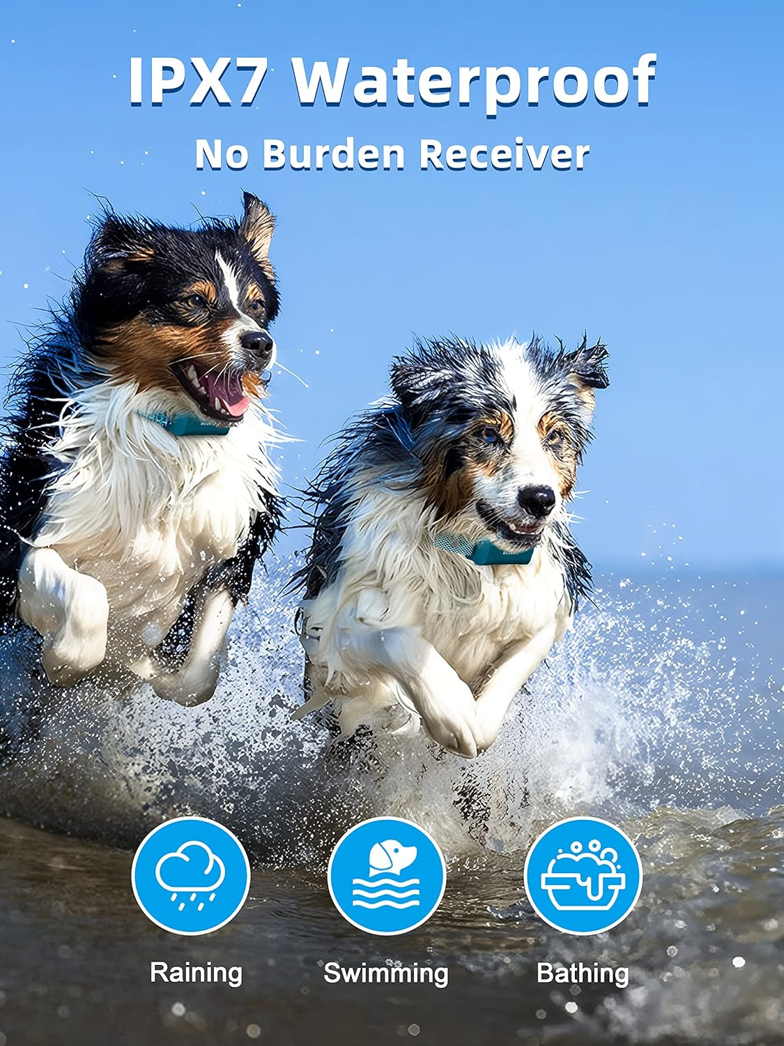 Dog Training Collar with Remote 4000Ft Waterproof Dog Shock Collars 2 Dogs for Dogs - Image 4