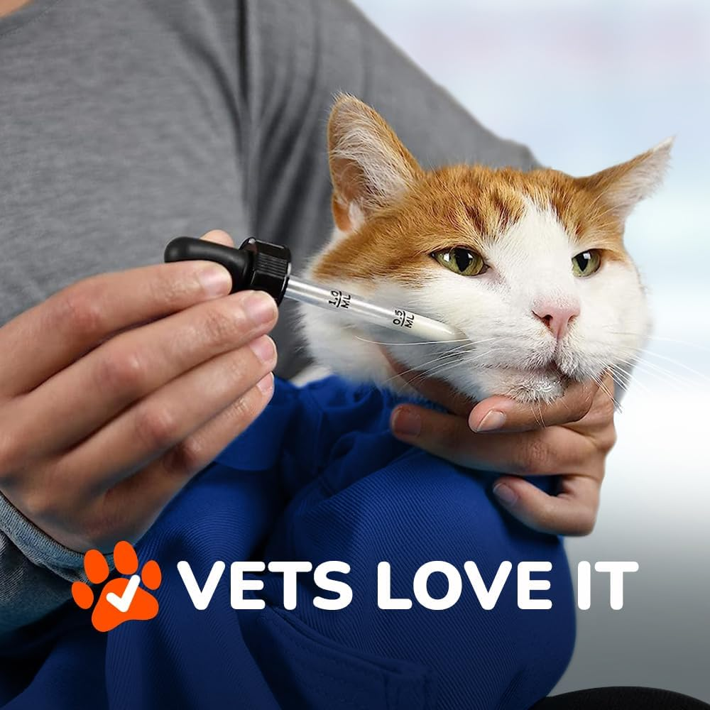 Cozy Comfort Carrier - Large Cobalt Blue Cat Carrier Soft for Grooming, Vet Visits, Medication Administration, Dental Care, Nail Trimming, and Car Travel - Image 5