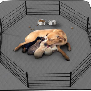 Washable Reusable Dog Pee Pads, 34"X52" Absorbent & Waterproof Puppy Training Pad for Crate, Playpen & Carpet, Large Potty Pads for Dogs, Cats & Small Pets