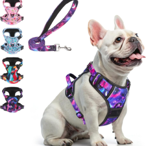 No Pull Dog Harness and Leash Set for Small Dogs, Adjustable Dog Vest Harnesses with 2 Metal Leash Clips, Reflective Oxford No Choke Escape Proof Step in Pet Vest with Handle, Purple S