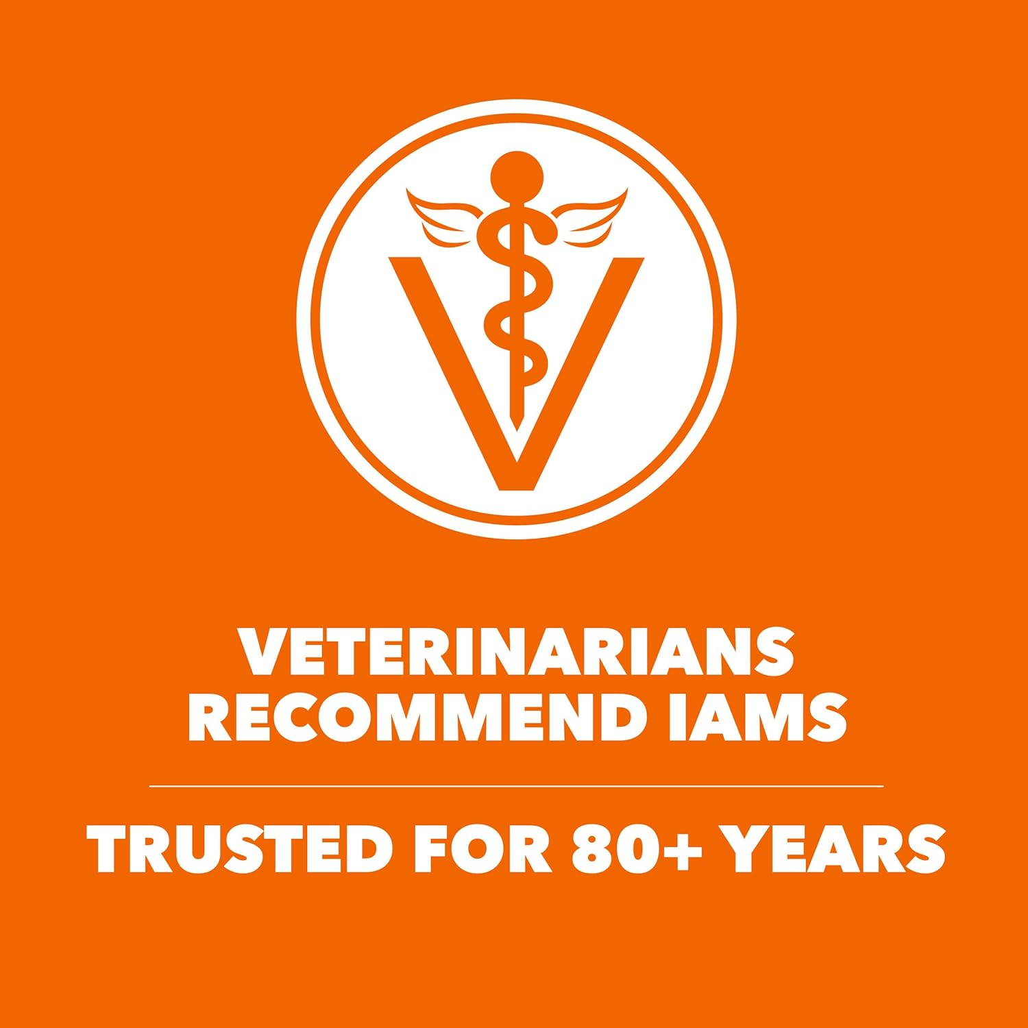 Proactive Health Adult Healthy Dry Cat Food with Chicken, 7 Lb. Bag - Image 6