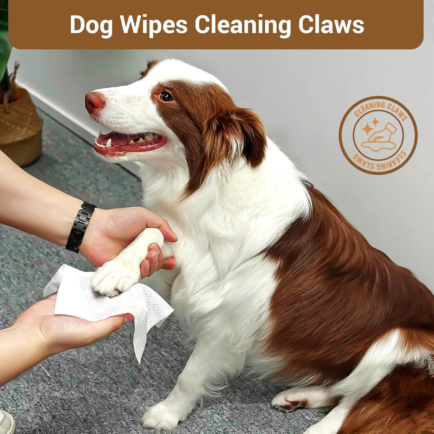 400 Coconut Oil Dog Wipes for Paws and Butt Large Thick Puppy Wipes for Dogs Face and Body Dog Wipes Cleaning Deodorizing Cat Wipes Cleaning Fur and Butt Big Doggie Wipes Doggy Wipes Bum Dog Ear Wipes - Image 2