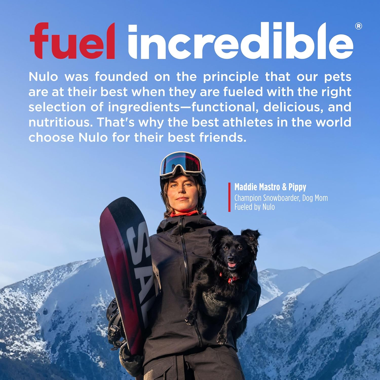 Freestyle High Protein Cat & Kitten Food, Chicken & Cod Recipe - Natural Grain-Free Dry Cat Food with Omega Fatty Acids & Probiotics, 4 Lb Bag - Image 11