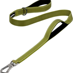 4FT Heavy Duty Dog Leash with Soft Padded Double Handle, Durable Strong Clasp Dog Leashes, Reflective Nylon Walking Lead for Large,Medium,Small Breed Dogs, Green