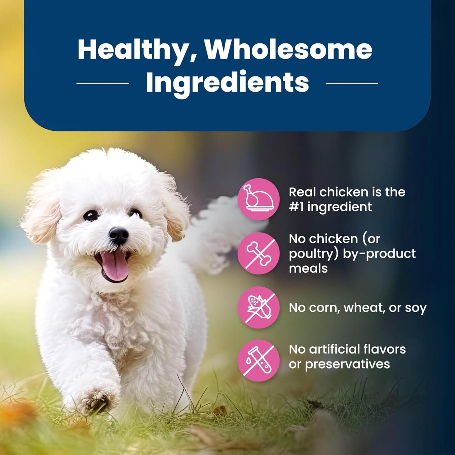 Life Protection Formula Adult Small Breed Dry Dog Food, Supports High Energy Needs, Made with Natural Ingredients, Chicken & Brown Rice Recipe, 15-Lb Bag - Image 6