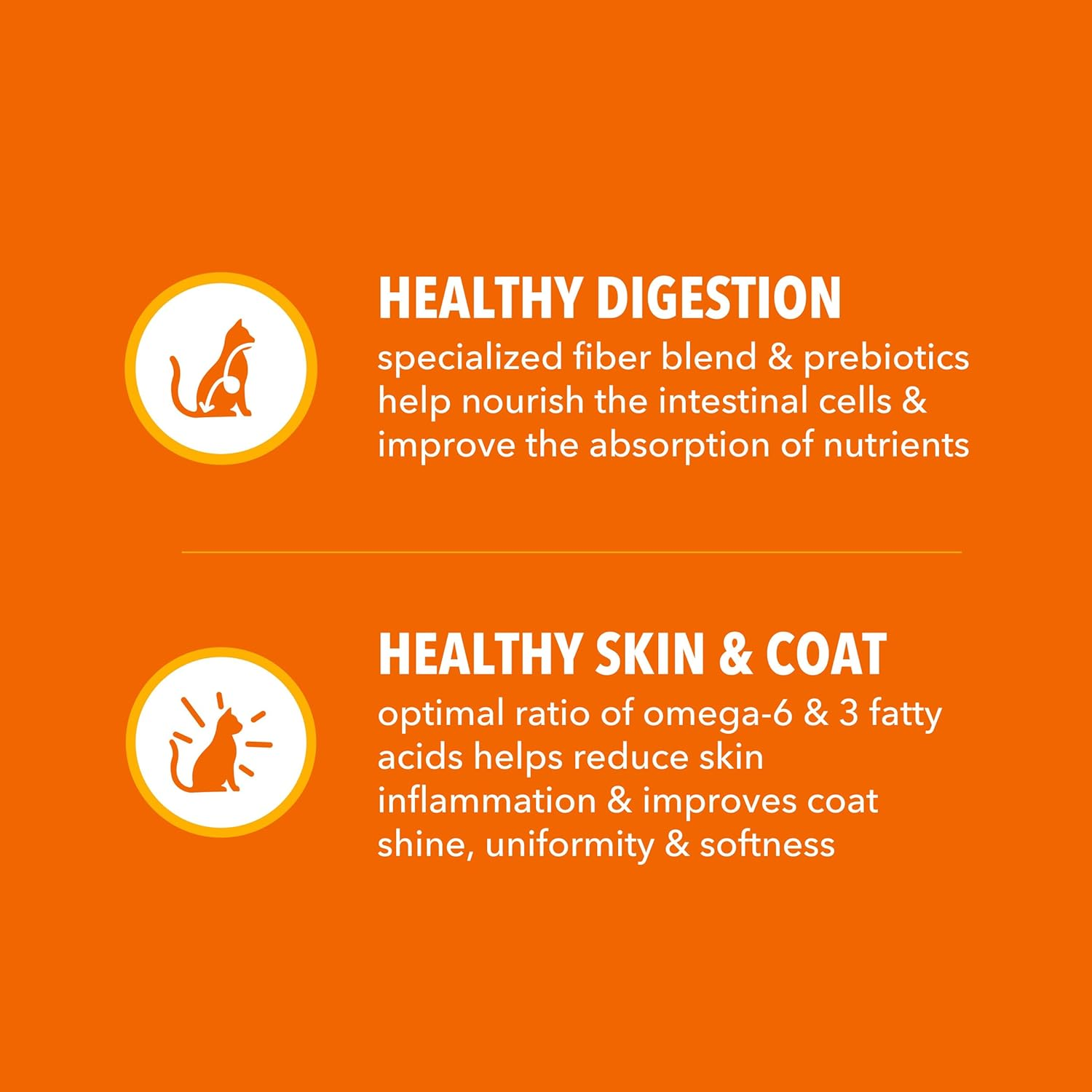 Proactive Health Adult Healthy Dry Cat Food with Chicken, 7 Lb. Bag - Image 5