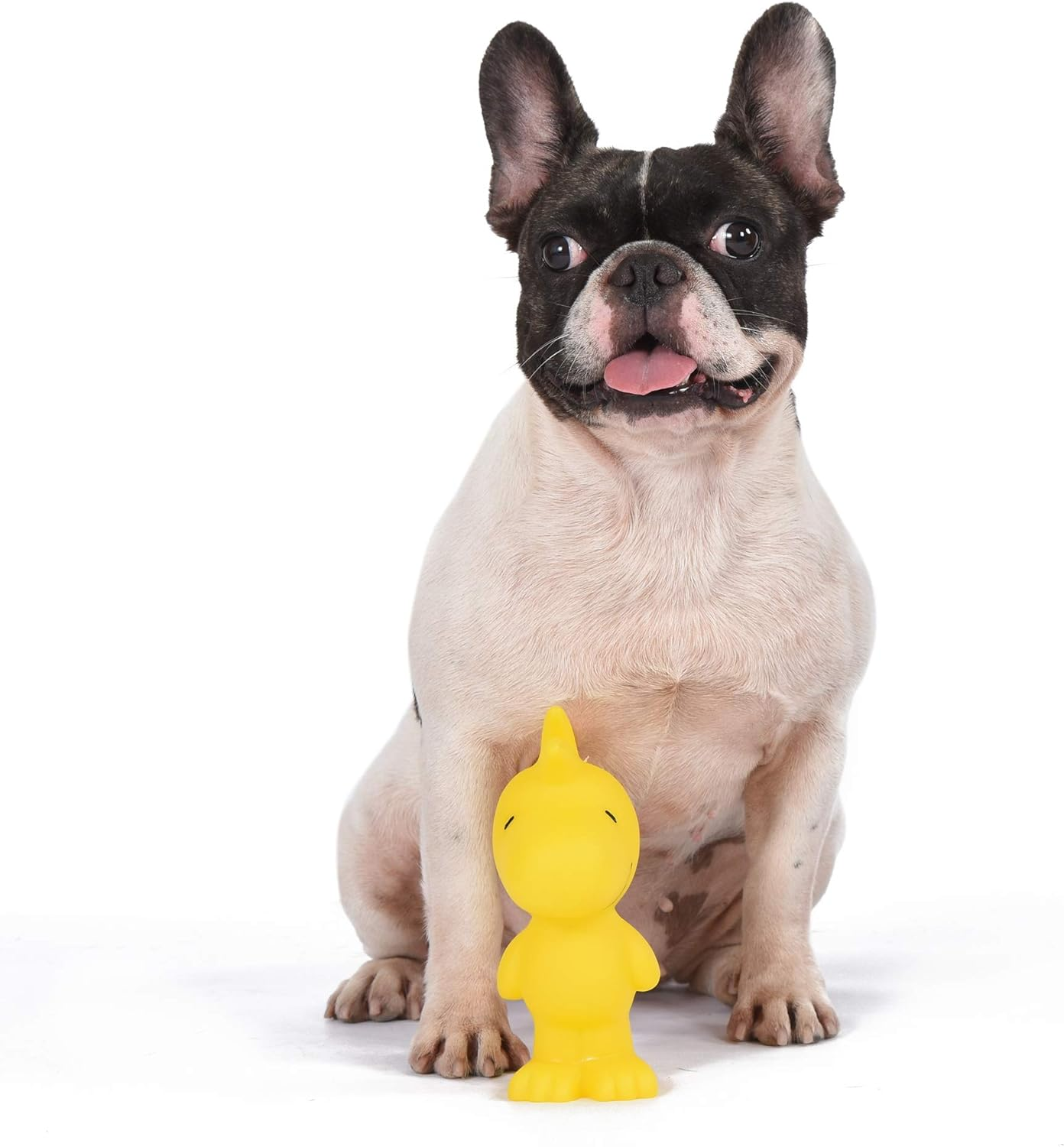 for Pets Charlie Brown Woodstock Vinyl Squeaker Dog Toy | Squeaky Dog Toy for All Dogs | Charlie Brown Plastic Dog Toys for Aggressive Chewers - Fun and Cute Yellow Dog Chew Toy, 5.5 Inch - Image 3