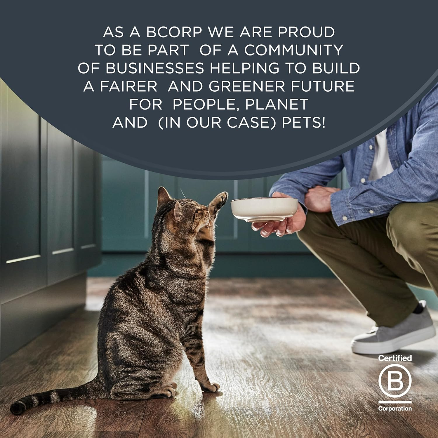 Natural Wet Cat Food, 24 Count, Grain Free, Limited Ingredient Canned Food for Cats, Tuna Fillet in Broth, 2.47 Oz Cans - Image 8