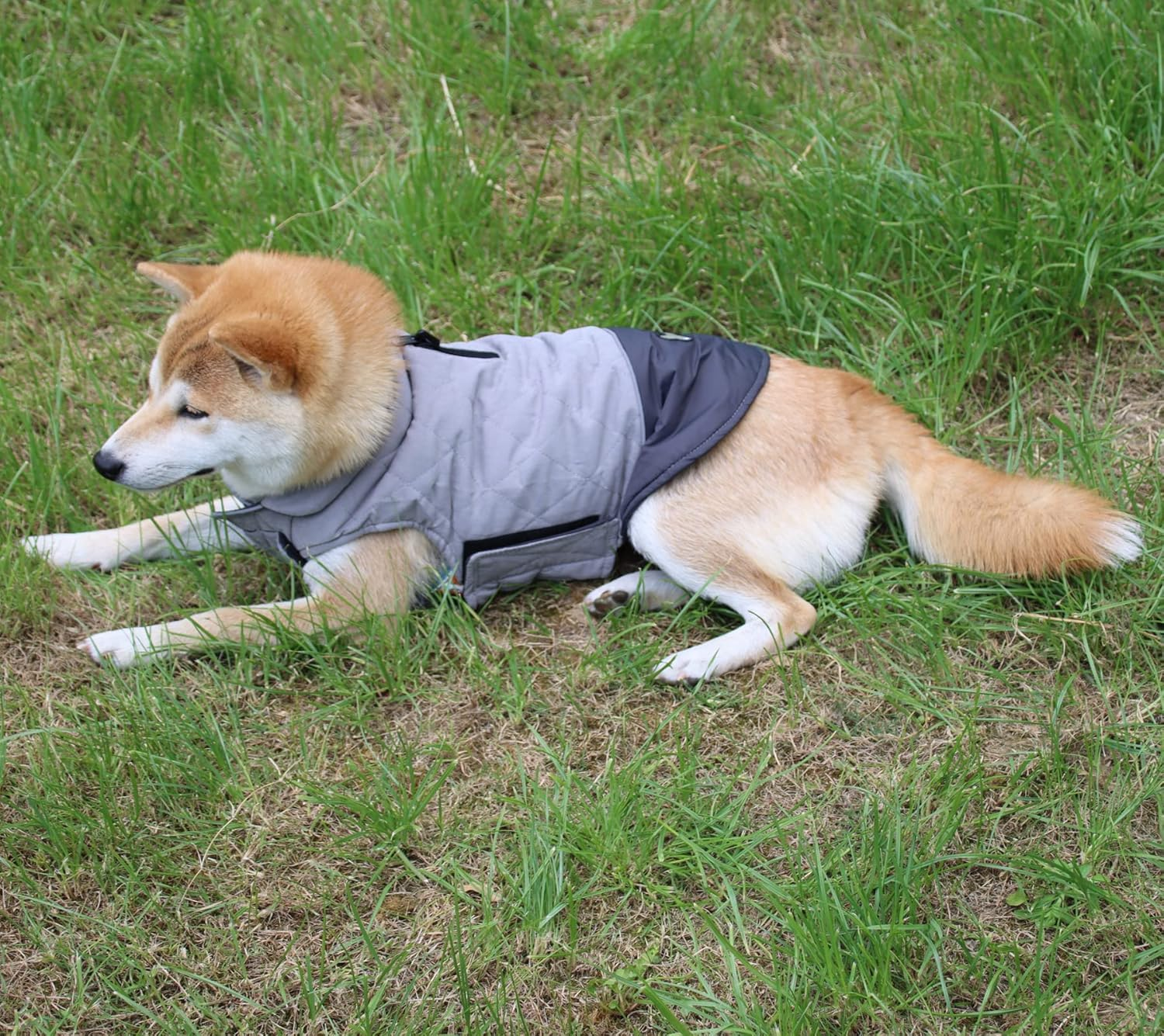 Reversible Dog Coats for Small Dogs Waterproof Warm Puppy Jacket for Cold Winter,Grey S - Image 4