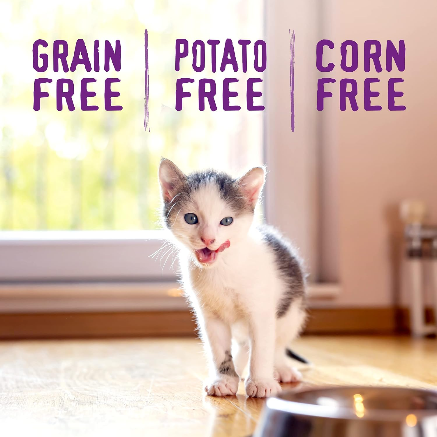 Raw Coated Premium Kibble Cat & Kitten Food – Grain Free, Protein Rich Meals – Cage-Free Chicken for Kittens Recipe – 2.5 Lb. Bag - Image 7