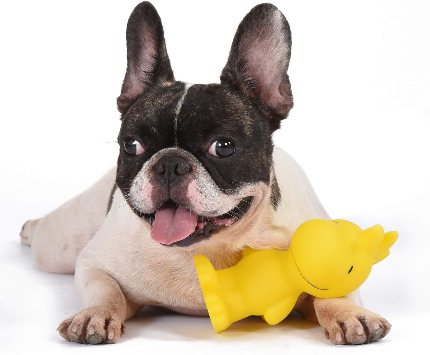 for Pets Charlie Brown Woodstock Vinyl Squeaker Dog Toy | Squeaky Dog Toy for All Dogs | Charlie Brown Plastic Dog Toys for Aggressive Chewers - Fun and Cute Yellow Dog Chew Toy, 5.5 Inch - Image 2