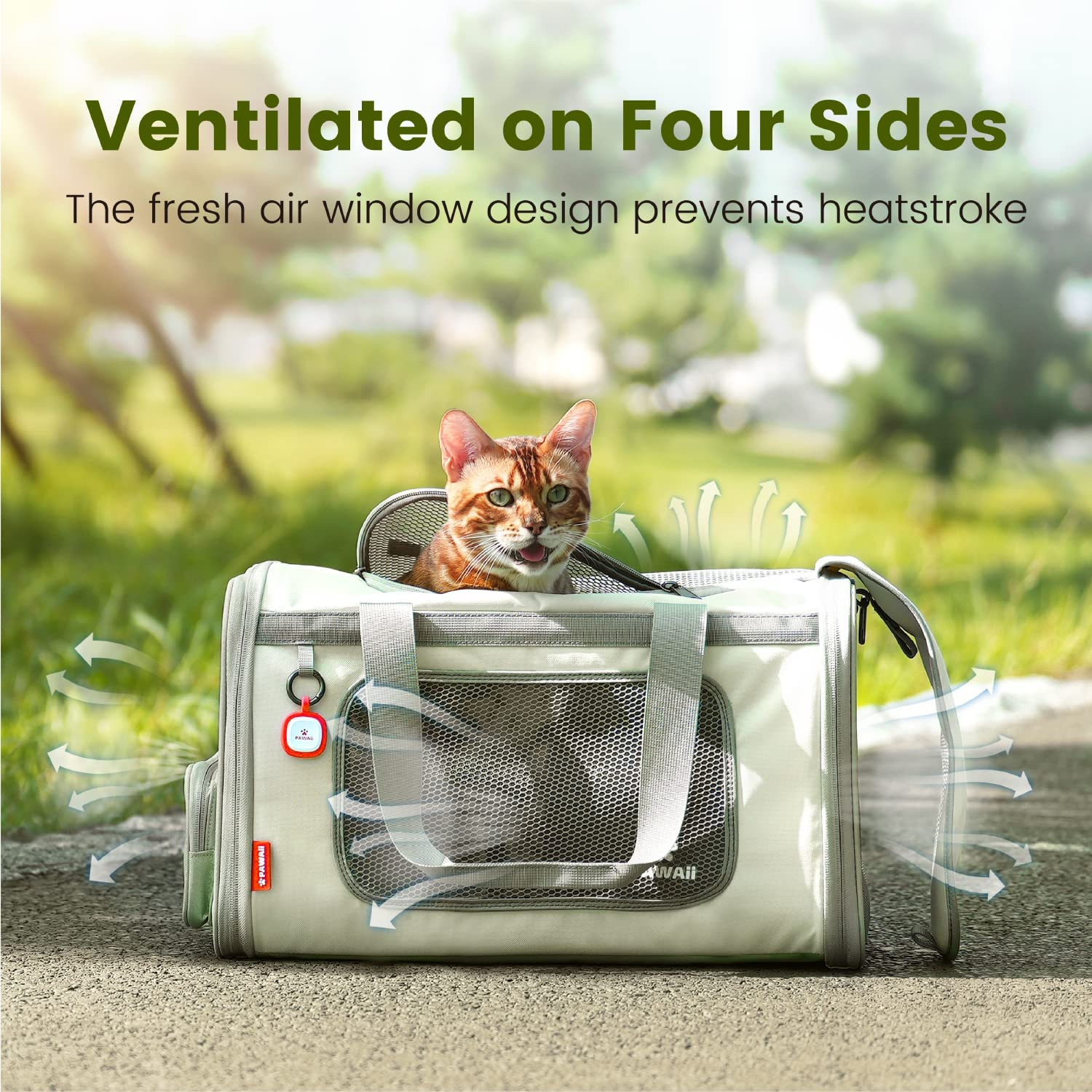 Cat Carrier with ID Tag, TSA Airline Approved Soft Sided Collapsible Pet Travel Carrier, Portable Comfortable Convenient Foldable Cat Travel Bag - Image 9