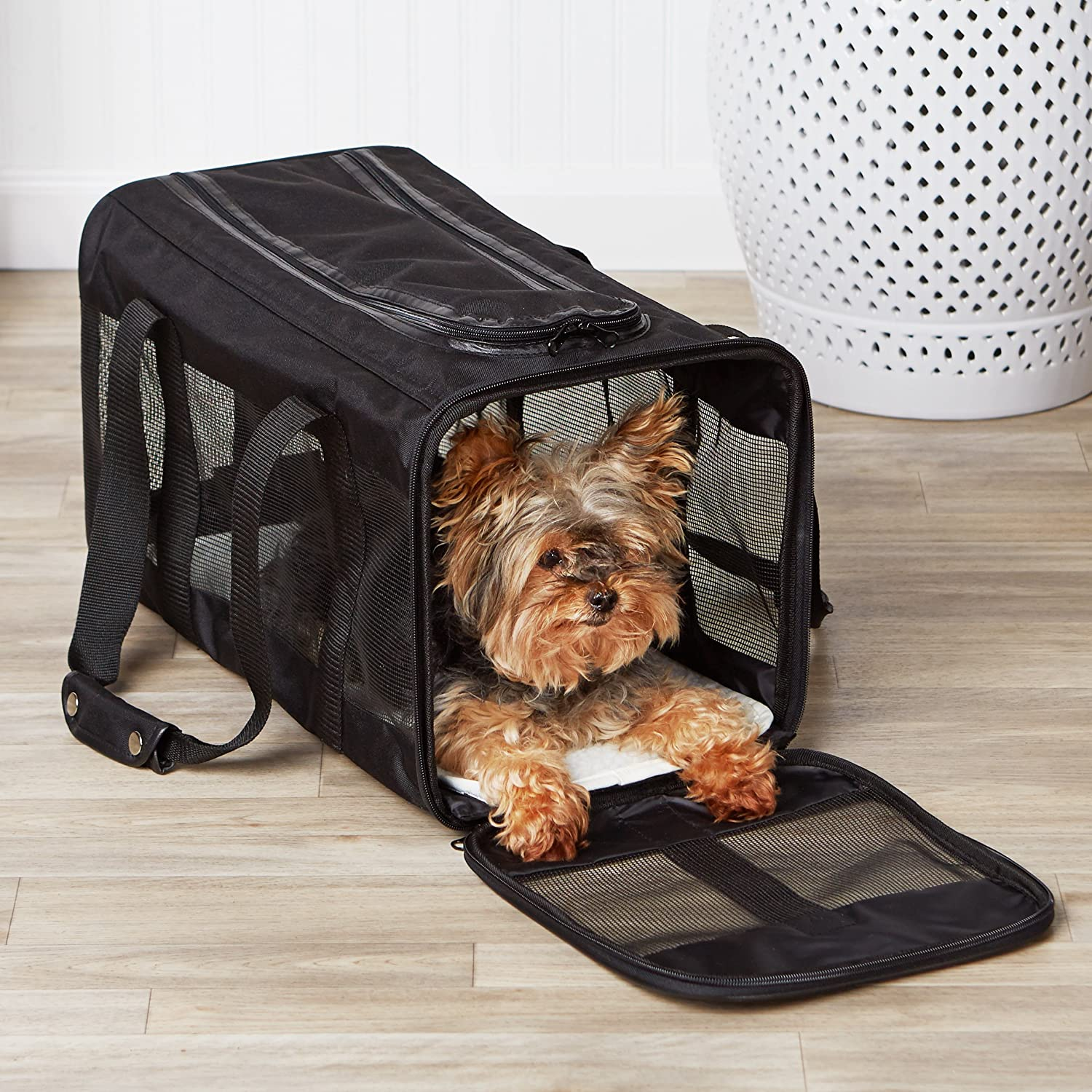 Soft-Sided Mesh Pet Travel Carrier for Dog, Cat, up to 22 Pounds, 19.7" L X 12" W X 12" H, Black - Image 7