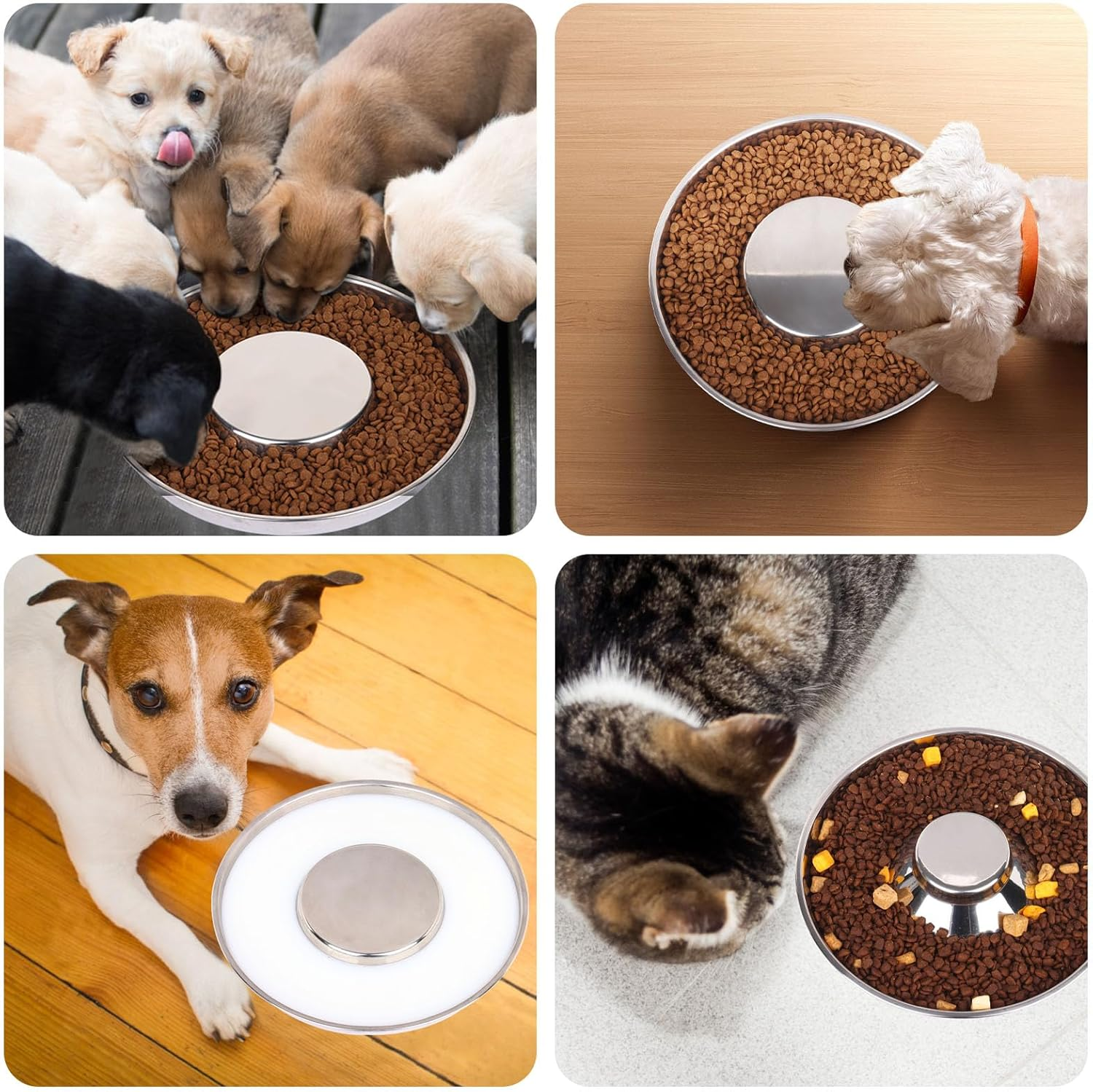 4 Pack Stainless Steel Puppy Bowls, Puppy Feeding Bowls for Litter, 10.2" Metal Dog Food and Water Bowl Set for Small Dogs Cats, Puppys Feeders for Multiple Puppies Kittens, Whelping Supplies - Image 7