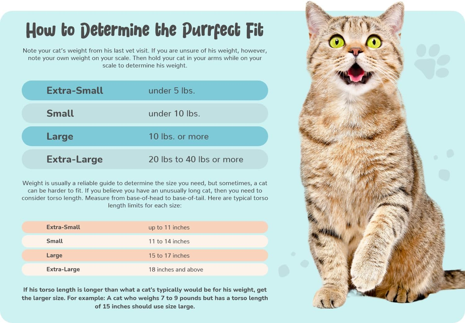 Cozy Comfort Carrier - Large Cobalt Blue Cat Carrier Soft for Grooming, Vet Visits, Medication Administration, Dental Care, Nail Trimming, and Car Travel - Image 6