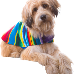 Shih Tzu Clothes - Handmade Dog Poncho from Authentic Mexican Blanket by  (Blue, Medium)