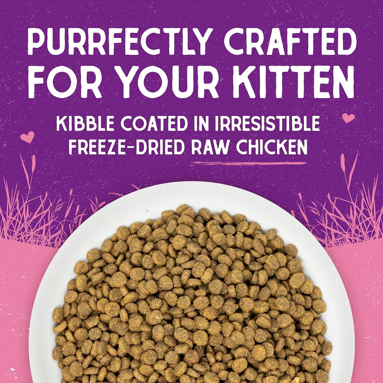 Raw Coated Premium Kibble Cat & Kitten Food – Grain Free, Protein Rich Meals – Cage-Free Chicken for Kittens Recipe – 2.5 Lb. Bag - Image 5