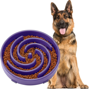 Slow Feeder Bowl for Large Dogs, Anti-Gulping Pet Bowl, Prevents Bloat & Choking